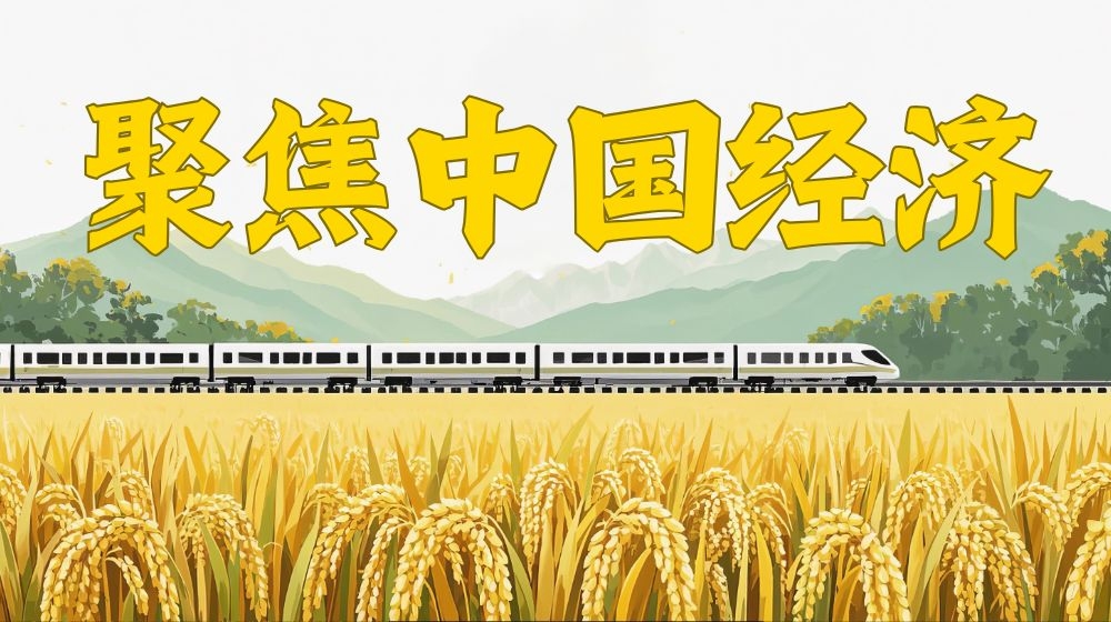 聚焦中国经济