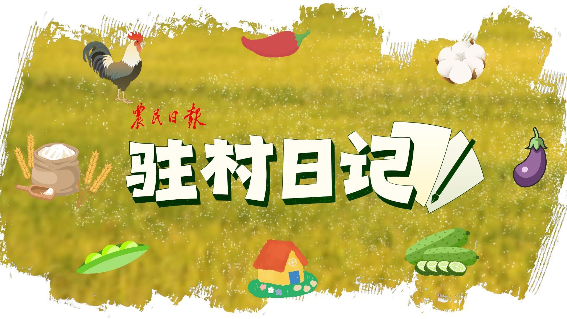 驻村日记