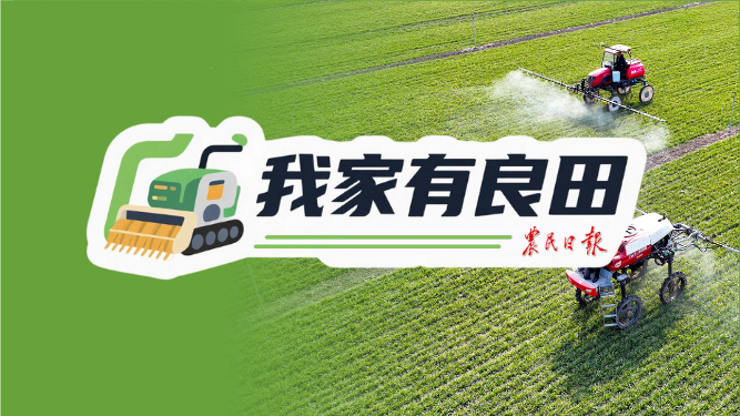我家有良田